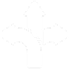 direção-icon
